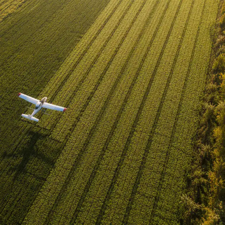 Aerial drone photograph of an agricultural field being surveyed — parallel flight-line pattern over crop rows, aircraft shadow visible on the ground, late-afternoon light, no people faces, no text, no logos