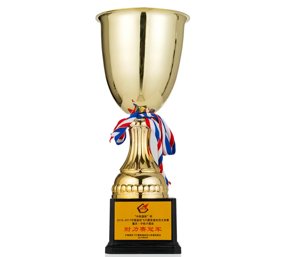 China Intl Flight Vehicle Design Challenge — endurance champion
